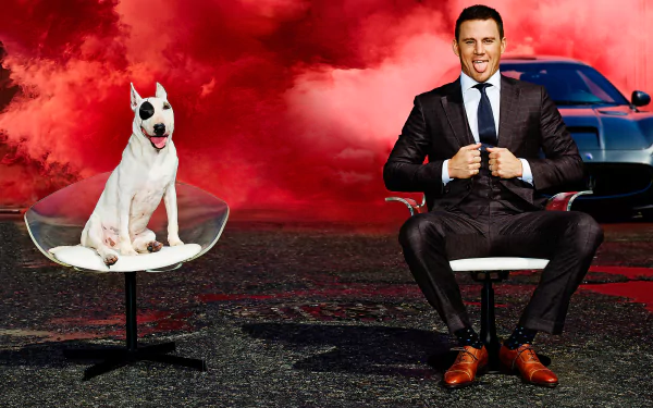smoke dog American actor Celebrity Channing Tatum HD Desktop Wallpaper | Background Image
