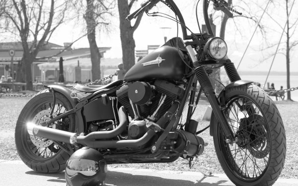 Vehicles Harley-Davidson Motorcycles Motorcycle Bike Black & White Helmet HD Wallpaper | Background Image