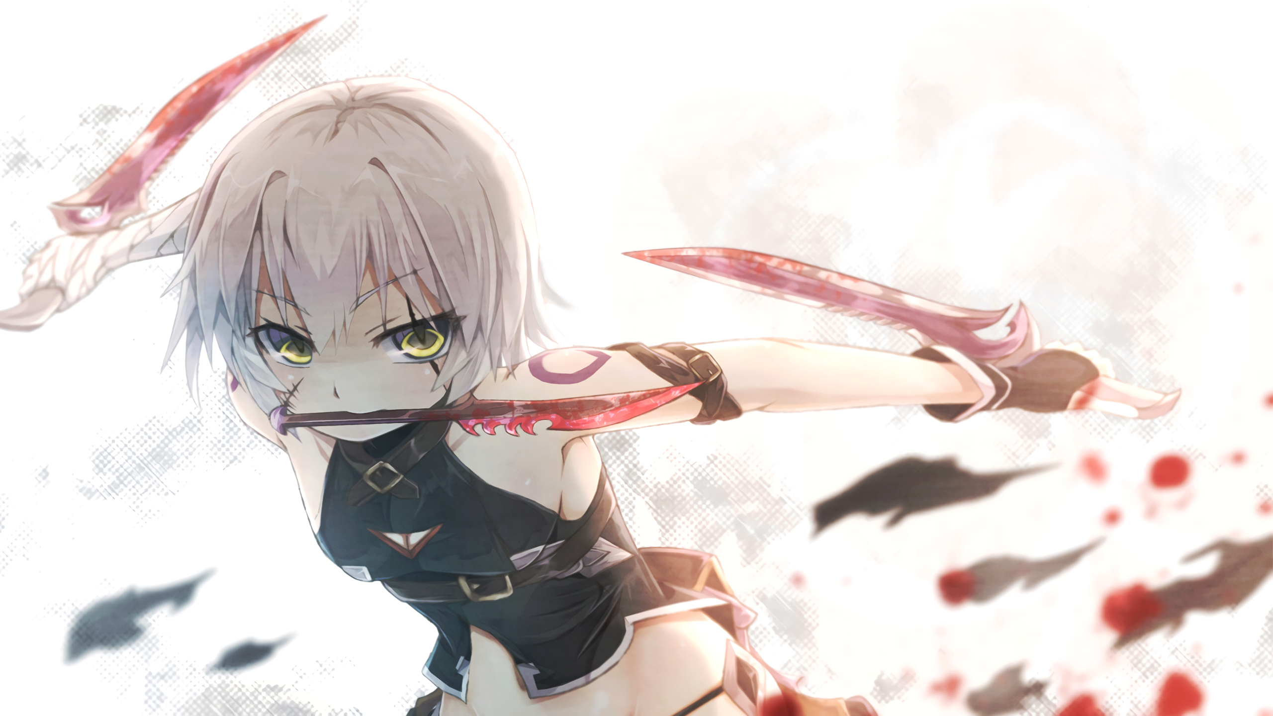 HD anime wallpaper featuring Assassin of Black from Fate/Apocrypha and Fate/Grand Order in an action pose, holding red-bladed weapons. The background is a light, ethereal design.