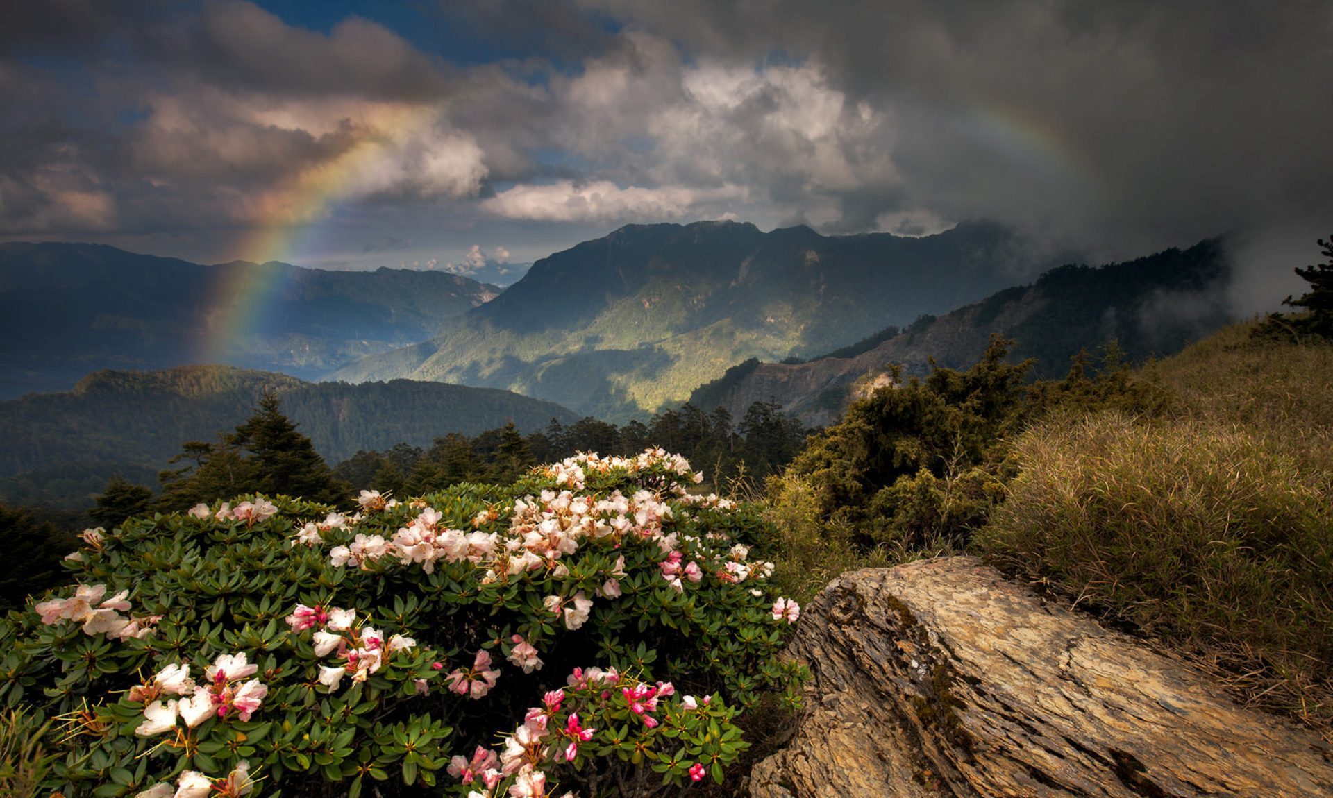Download Nature Cloud Rainbow Mountain Flower Landscape HD Wallpaper