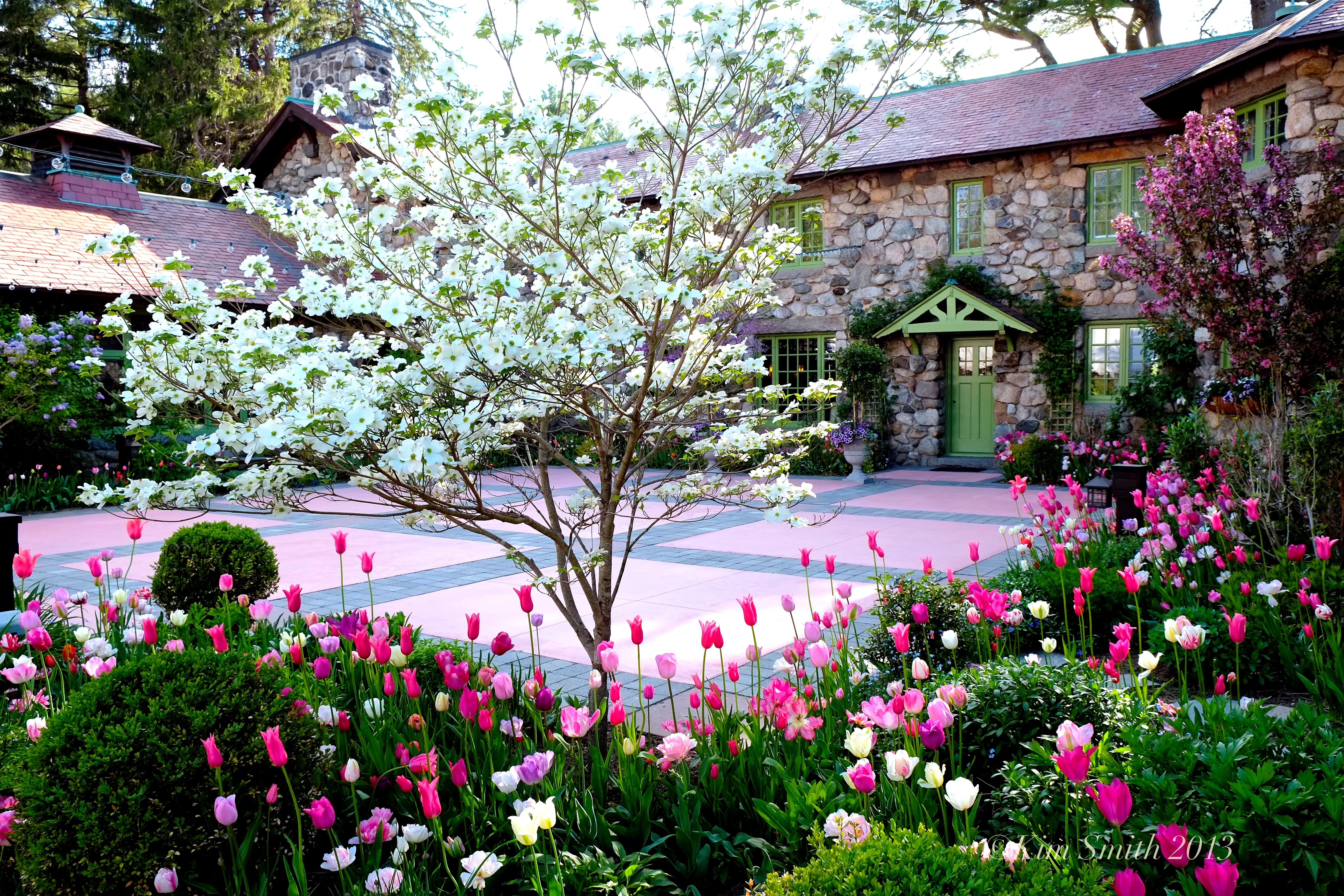 Непрерывно цветущая. Сад Каролин Айкен. Канада. Весенний сад (Spring Topiary Garden). Вишневый сад на даче. Красивый домик с садом.
