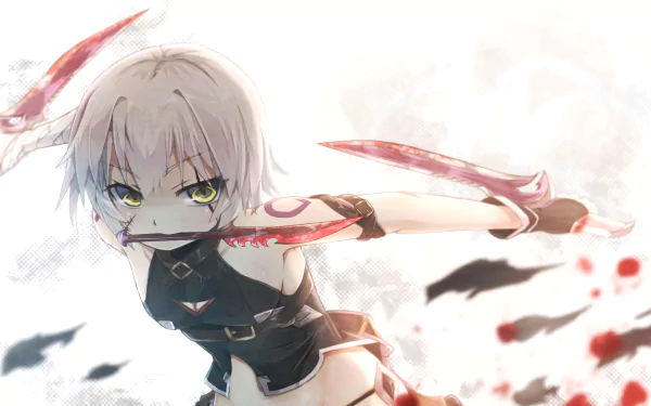 HD anime wallpaper featuring Assassin of Black from Fate/Apocrypha and Fate/Grand Order in an action pose, holding red-bladed weapons. The background is a light, ethereal design.