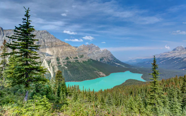mountain forest landscape nature lake Canada Alberta banff national park peyto lake HD Desktop Wallpaper | Background Image