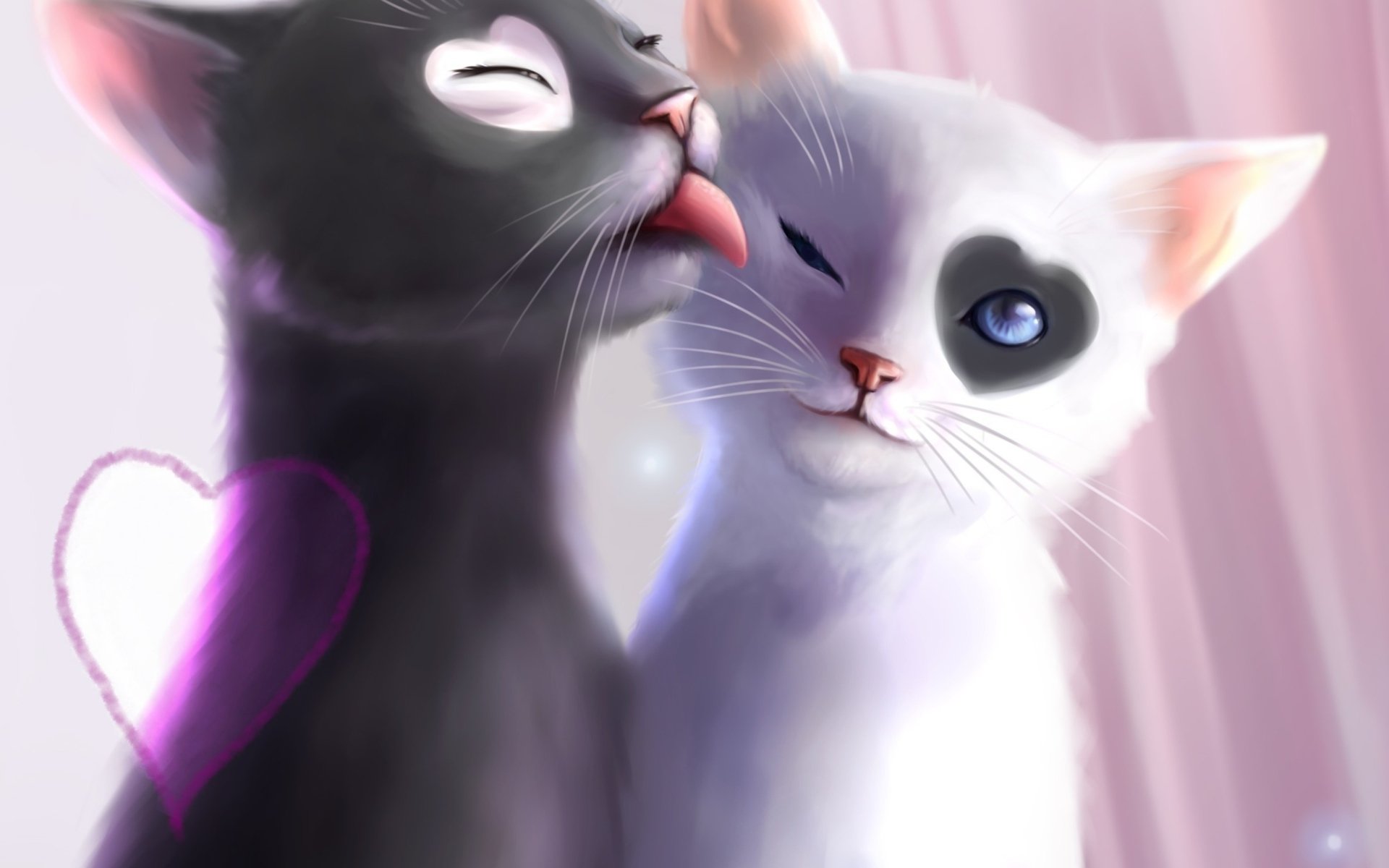 HD desktop wallpaper featuring a romantic scene of a black cat licking a white cat with heart markings on their fur, set against a soft background. Tags: heart, romantic, love, animal, cat.