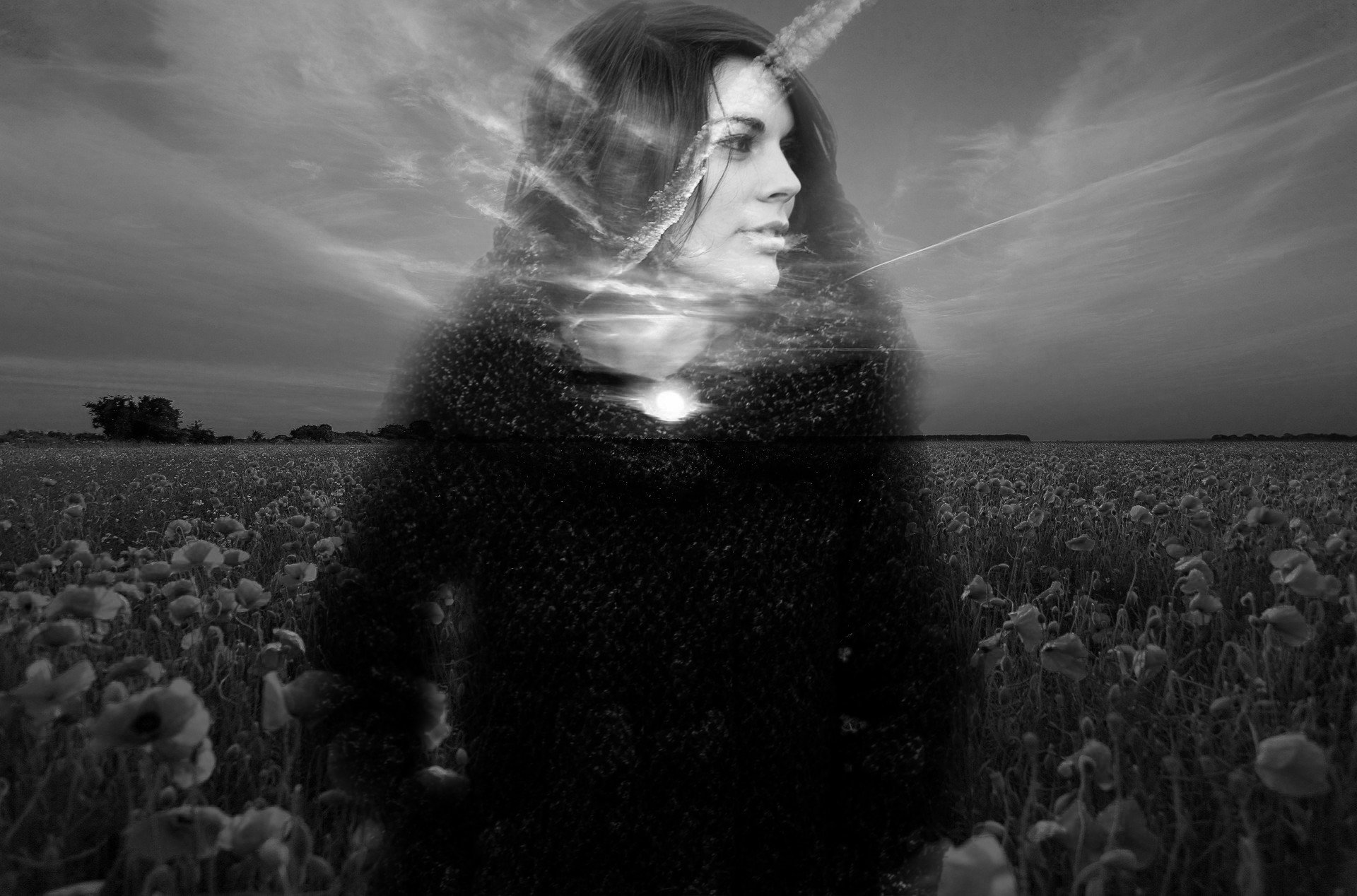 Woman in flowerfield (B&amp;W) by MadHatter