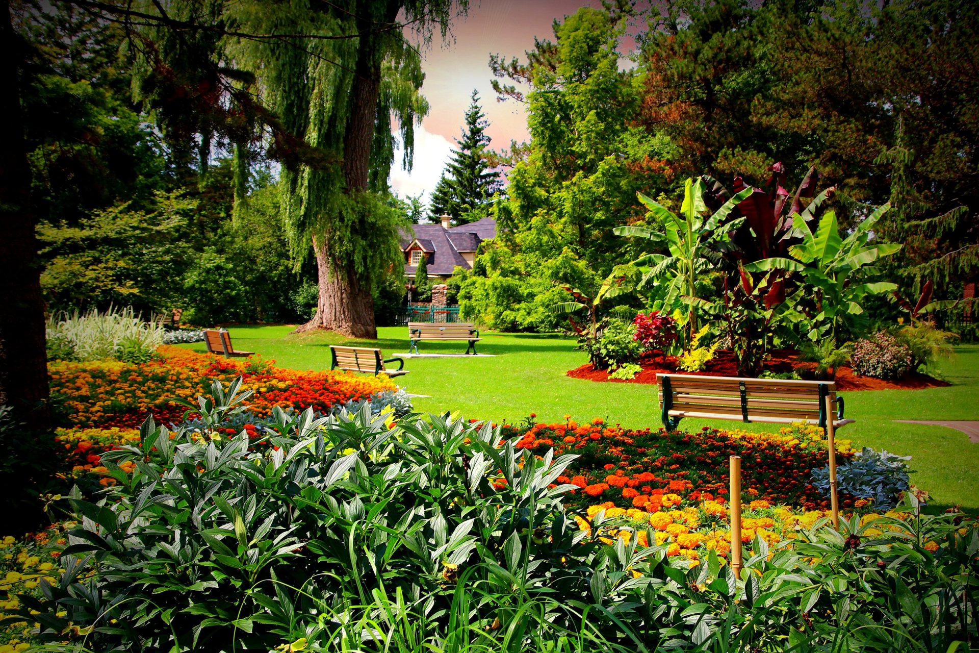 A vibrant garden in spring features blooming flowers, lush greenery, and a majestic tree, complemented by benches amidst a welcoming man-made landscape.