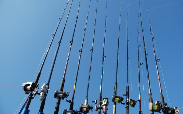 Sports Fishing Fishing Rod HD Wallpaper | Background Image