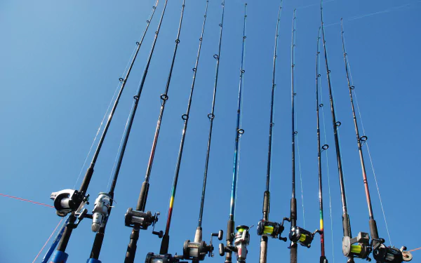  A row of fishing rods and reels by ullajj
