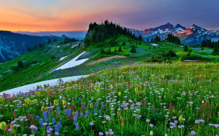 A vibrant landscape featuring a wildflower-filled field in spring, with a majestic tree-studded mountain backdrop and distant snow-capped peaks under a colorful sky.
