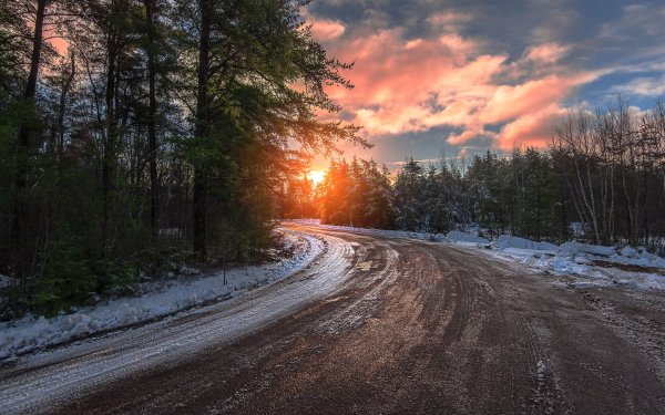 Man Made Road Winter Tree Snow Ice HD Wallpaper | Background Image