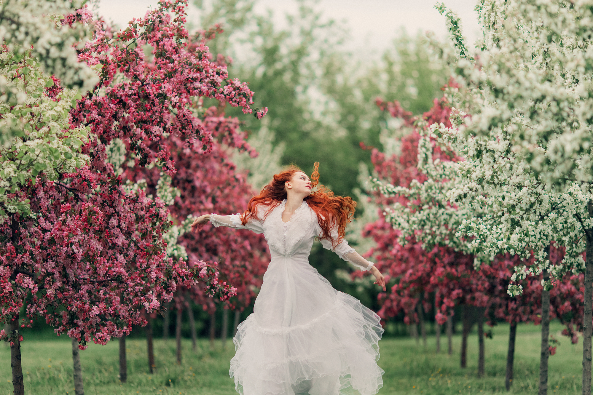 Download Blossom White Dress Outdoor Redhead Model Woman Mood HD Wallpaper