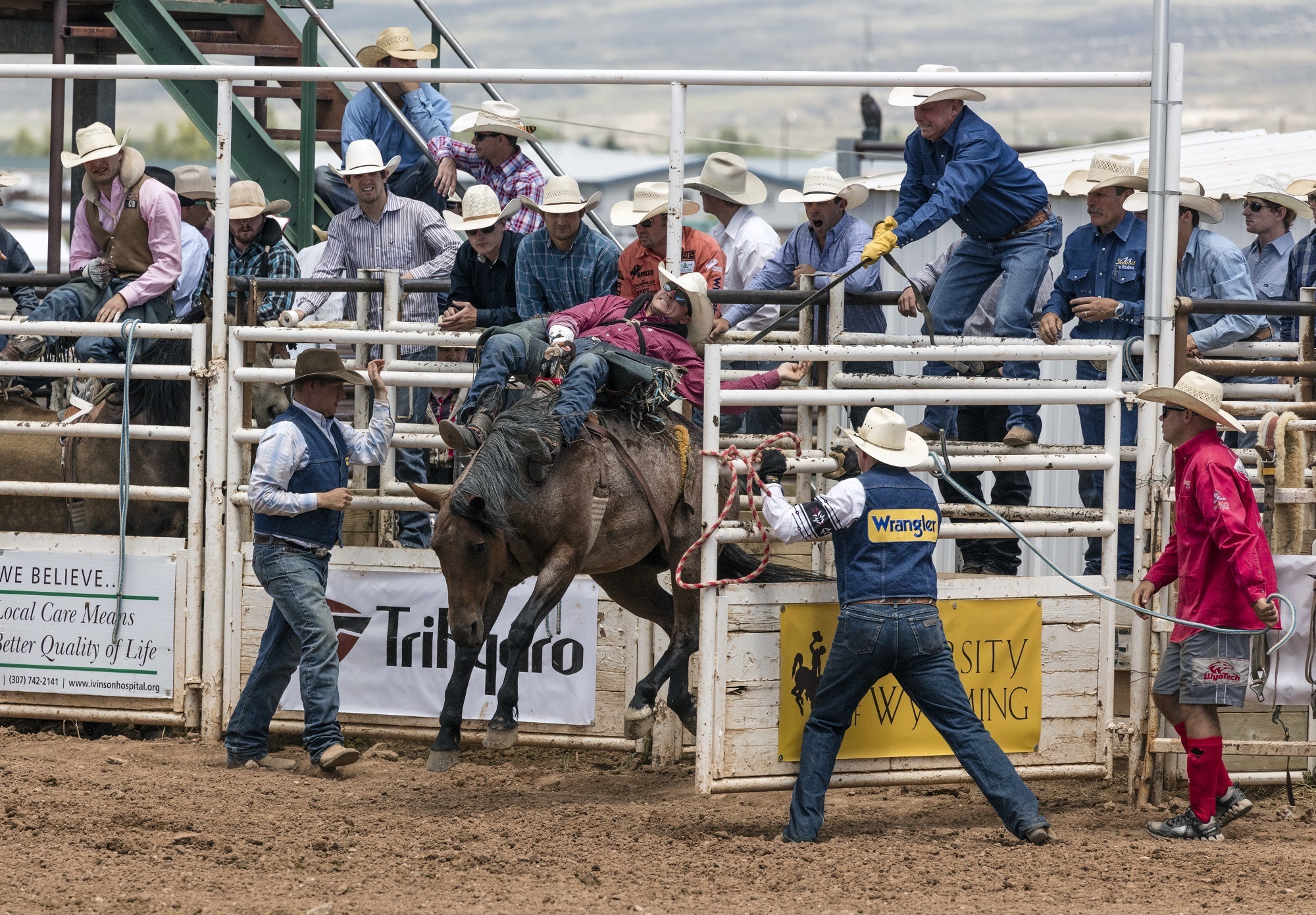 Out of the gate on a bucking bronco at a rodeo by skeeze