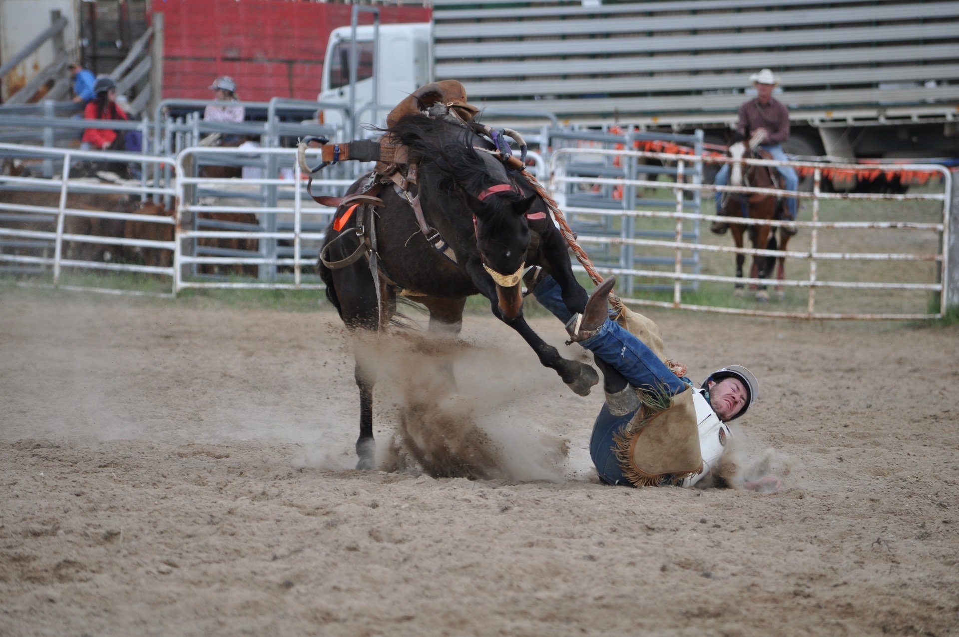 Being thrown off a bucking bronco at a rodeo by skeeze