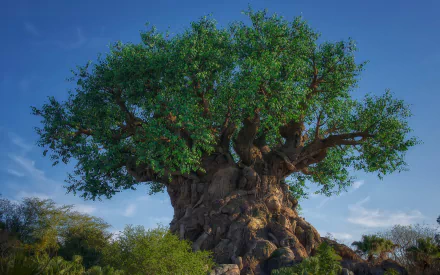  Animal Sculptures in The Tree of Life at Disney's Animal Kingdom
