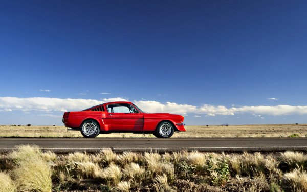 Vehicles Ford Mustang Ford Muscle Car Car HD Wallpaper | Background Image