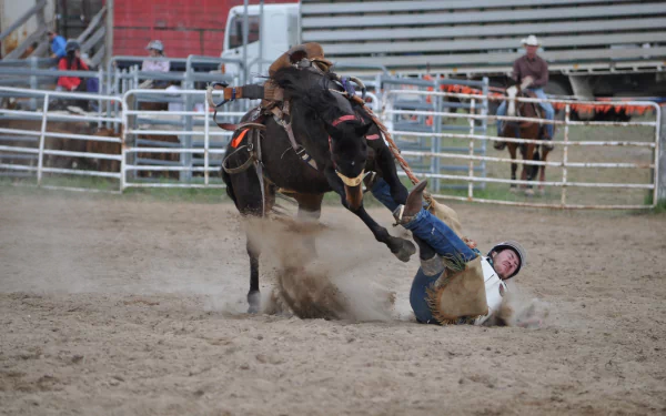  Being thrown off a bucking bronco at a rodeo by skeeze