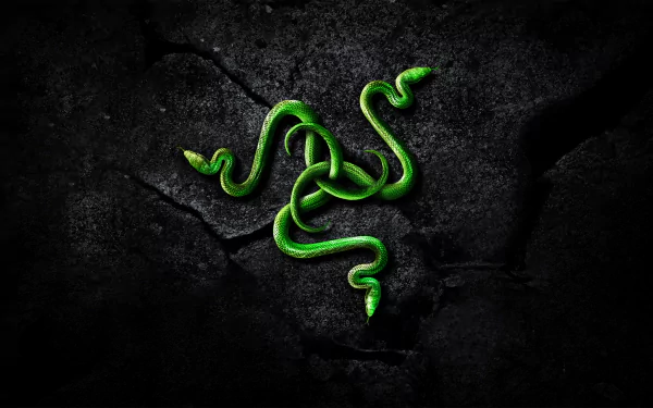 A striking HD desktop wallpaper featuring a green serpent logo on a dark textured background, showcasing the bold and dynamic aesthetic of Razer technology.