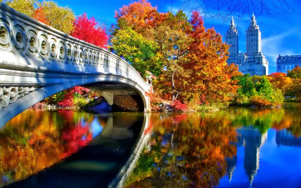 Bow Bridge reflects on the tranquil water, framed by vibrant fall foliage and the towering buildings of New York, creating a stunning view for a desktop wallpaper.