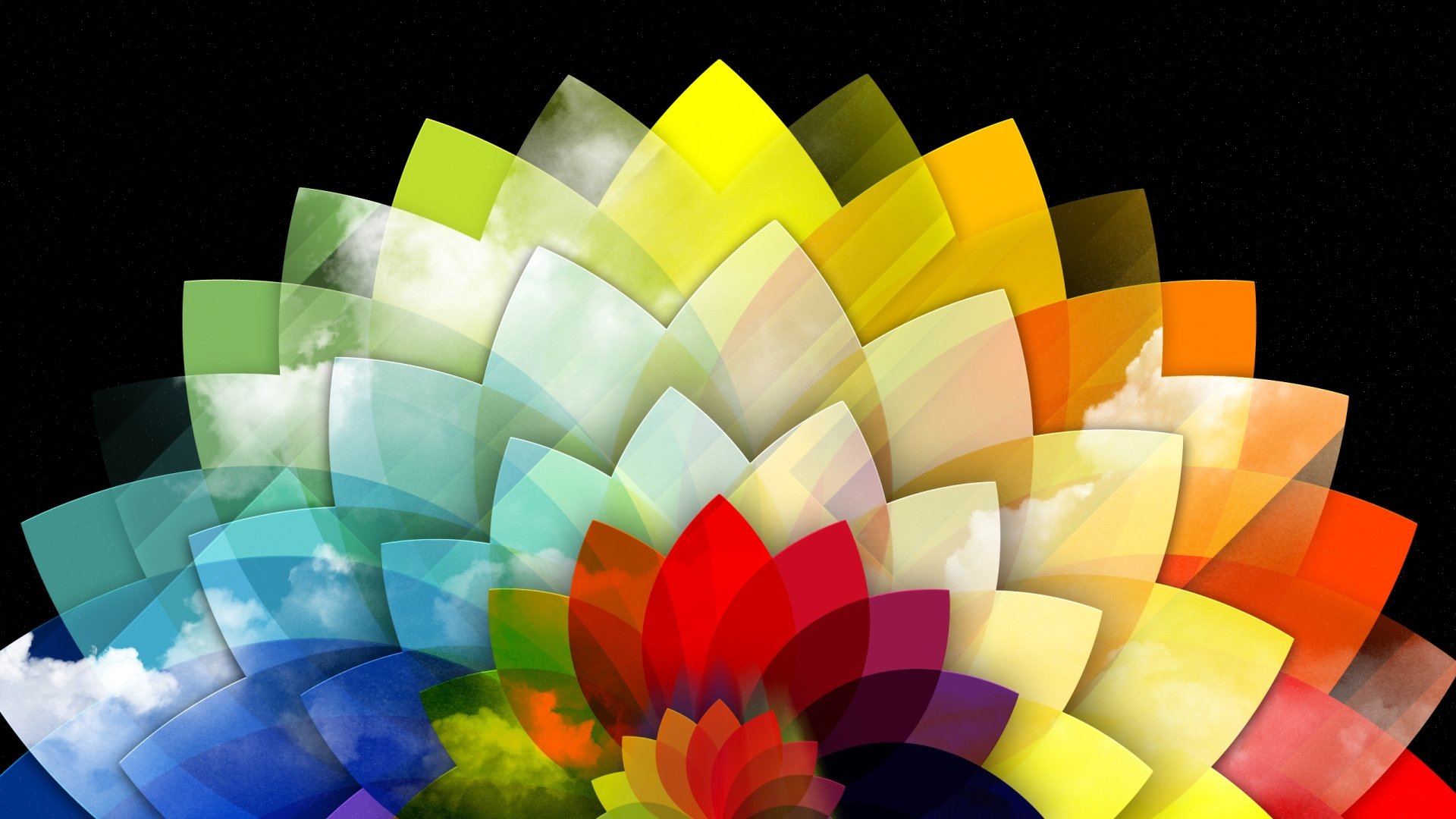 Download Colorful Colors Artistic Flower HD Wallpaper
