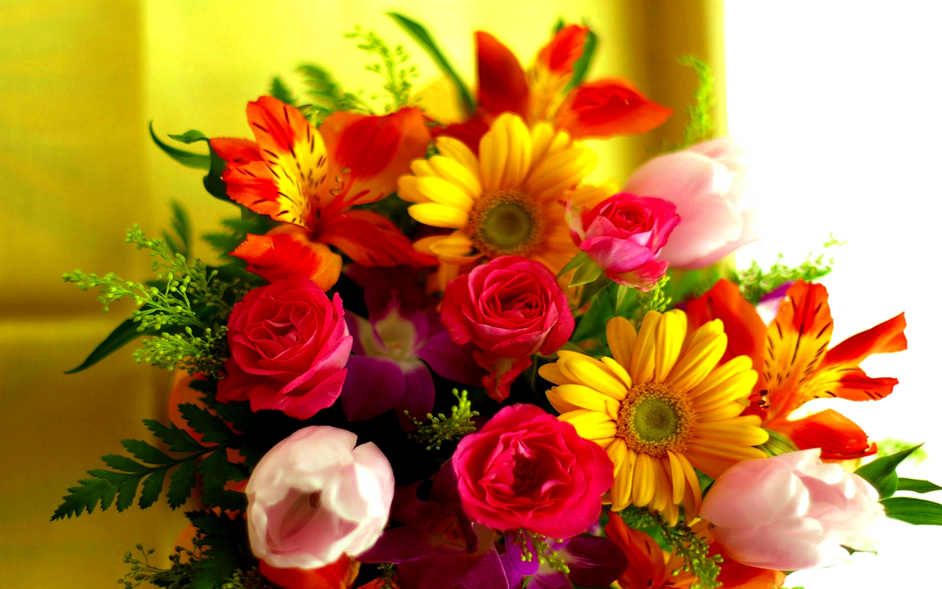 Download Pink Flower Yellow Flower Orange Flower Colorful Colors Bright ...