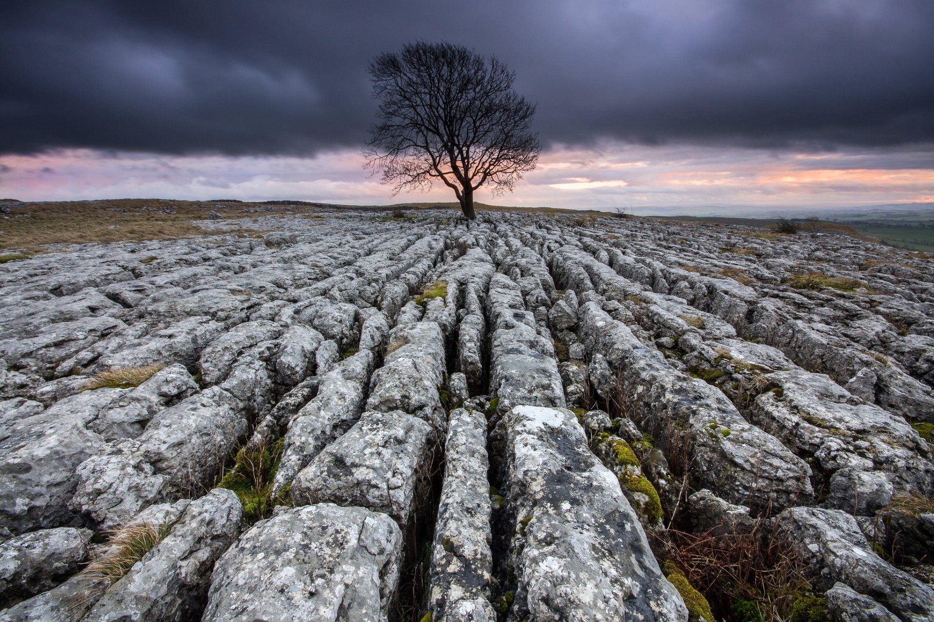 HD desktop wallpaper showing a dramatic landscape with a lone tree standing on rugged, cracked rocky ground under a moody, cloudy sky.