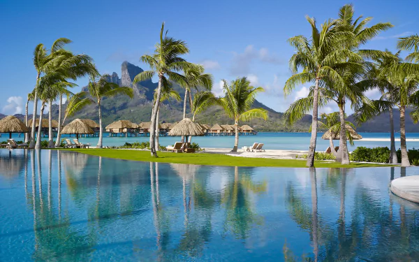 A tropical resort with palm trees and bungalows overlooking a tranquil beach, reflected in the clear blue water of an infinity pool under a bright sky.