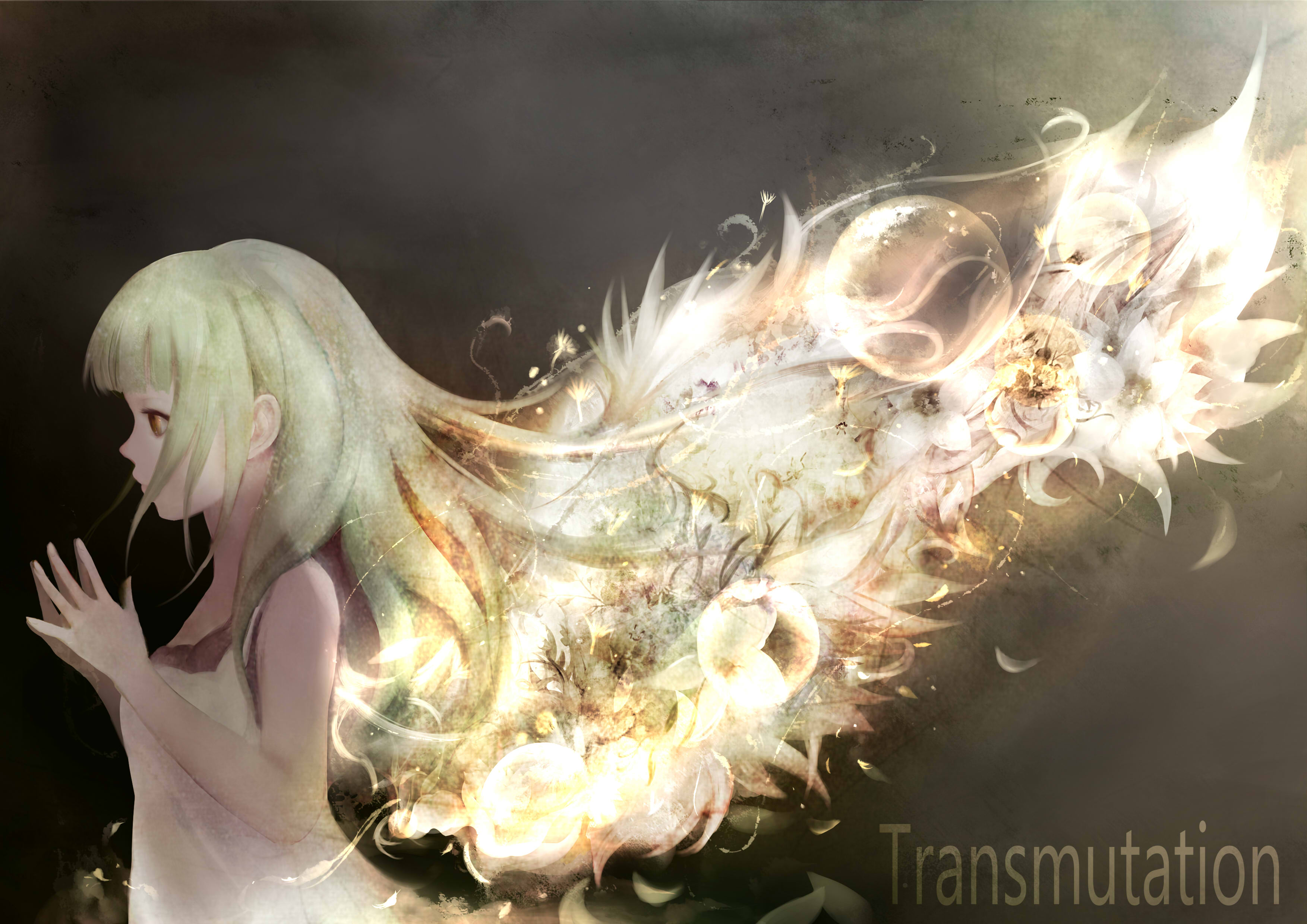 Transmutation by Zhang Xiao Bo