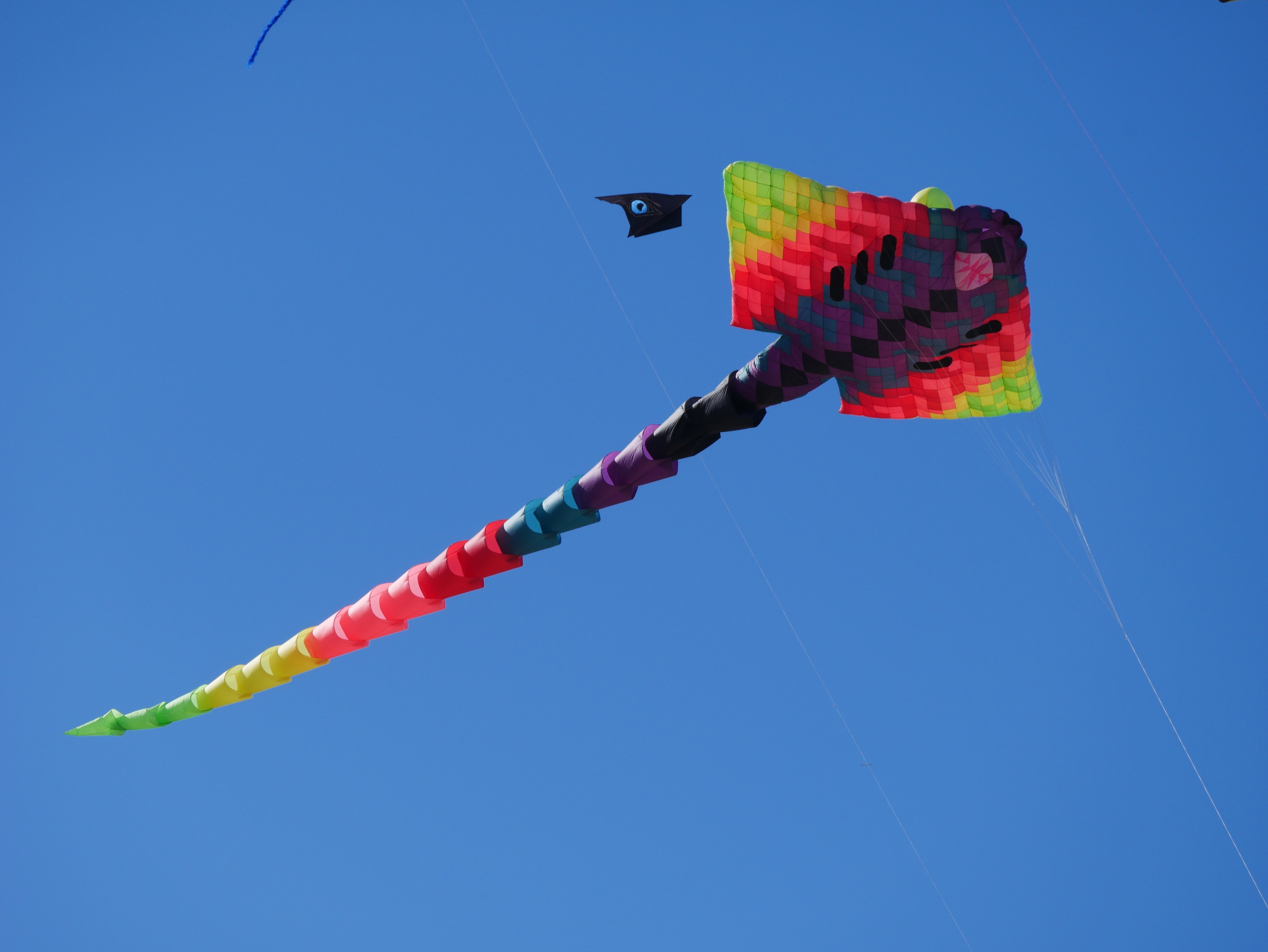 Colorful kite in the blue sky by AJEL