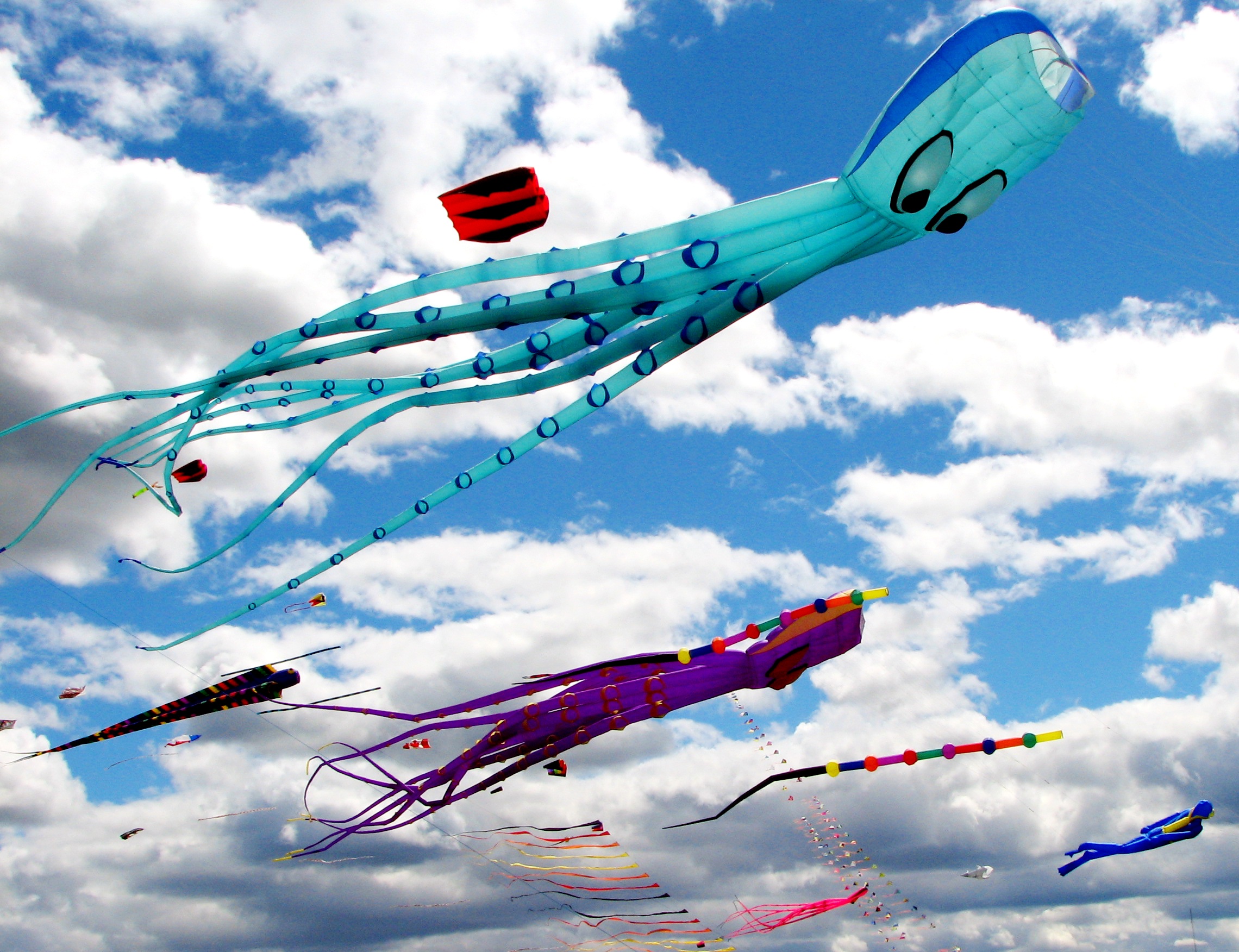Colorful flying kites by bullfish66
