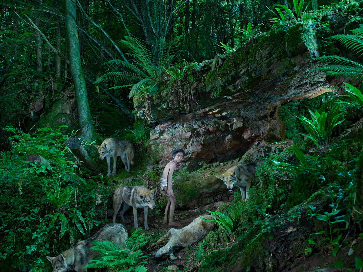 Download Fantasy Fairy Tale Wallpaper by Julia Fullerton Batten