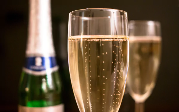  Sparkling Champagne In A Tall Glass by Didgeman