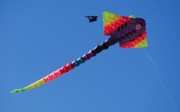Man Made Kite Colors Colorful Flying HD Wallpaper | Background Image