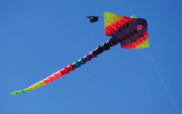  Colorful kite in the blue sky by AJEL