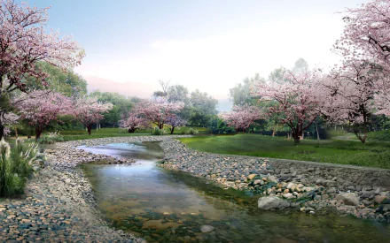 HD desktop wallpaper featuring a serene park with a stream surrounded by blossoming sakura trees and stones, reflecting a tranquil springtime nature scene.