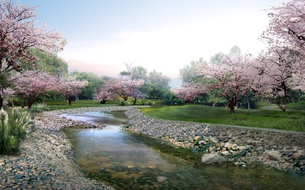 Tierra/Naturaleza Primavera Árbol Florecer Chorro Parque Rock Piedra Naturaleza Sakura Rio Fondo de pantalla HD | Fondo de Escritorio