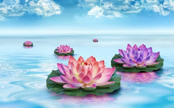 Artistic Fantasy Flower Water Lily Colors Blue Horizon Purple Flower HD Wallpaper | Background Image