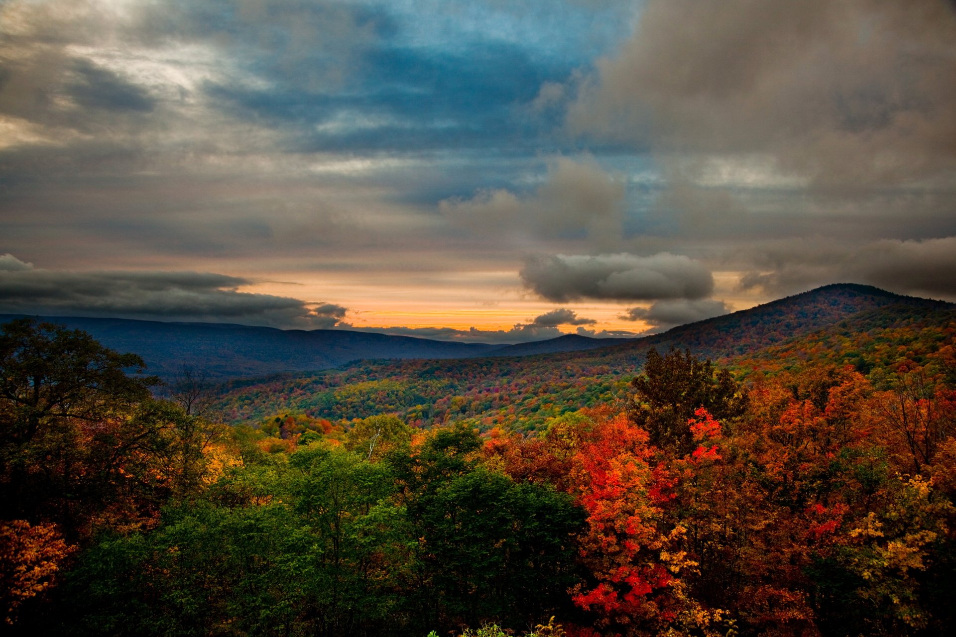 Download Cloud Tree Fall Nature Forest 4k Ultra HD Wallpaper ...
