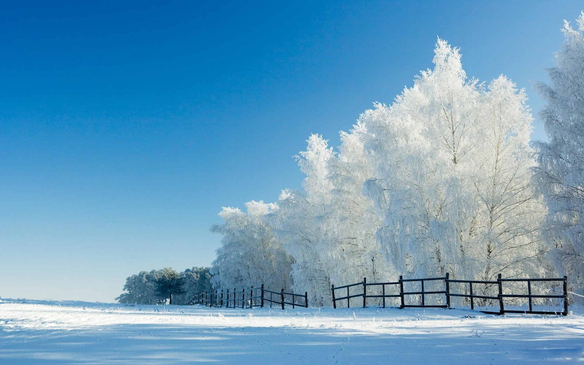 HD desktop wallpaper showing a snow-covered park with a wooden fence and frosted trees under a clear blue winter sky.