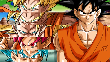 A vibrant HD desktop wallpaper featuring Goku in various Super Saiyan transformations from the iconic anime Dragon Ball Z, showcasing his powerful and dynamic appearances.
