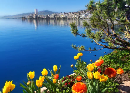  Lausanne, Lake Geneva