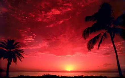  South Pacific Sunset