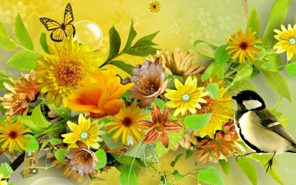 Artistic Collage Spring Flower Bird Butterfly Yellow Flower HD Wallpaper | Background Image