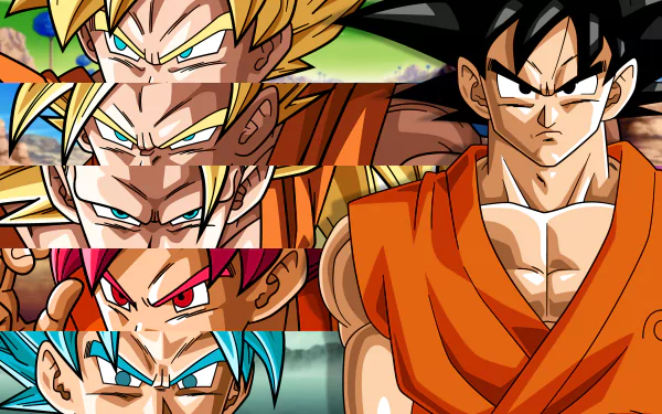 A vibrant HD desktop wallpaper featuring Goku in various Super Saiyan transformations from the iconic anime Dragon Ball Z, showcasing his powerful and dynamic appearances.