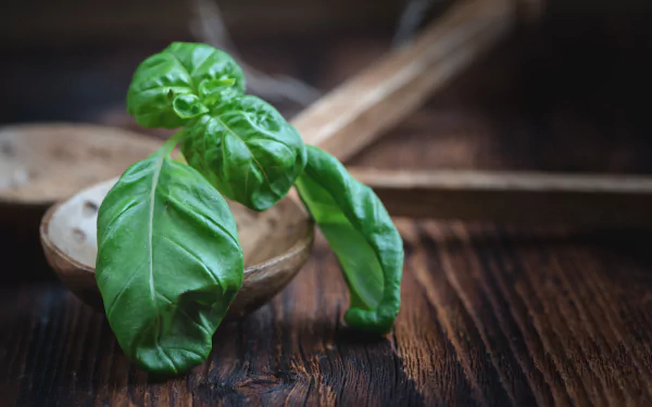 herbs food basil HD Desktop Wallpaper | Background Image