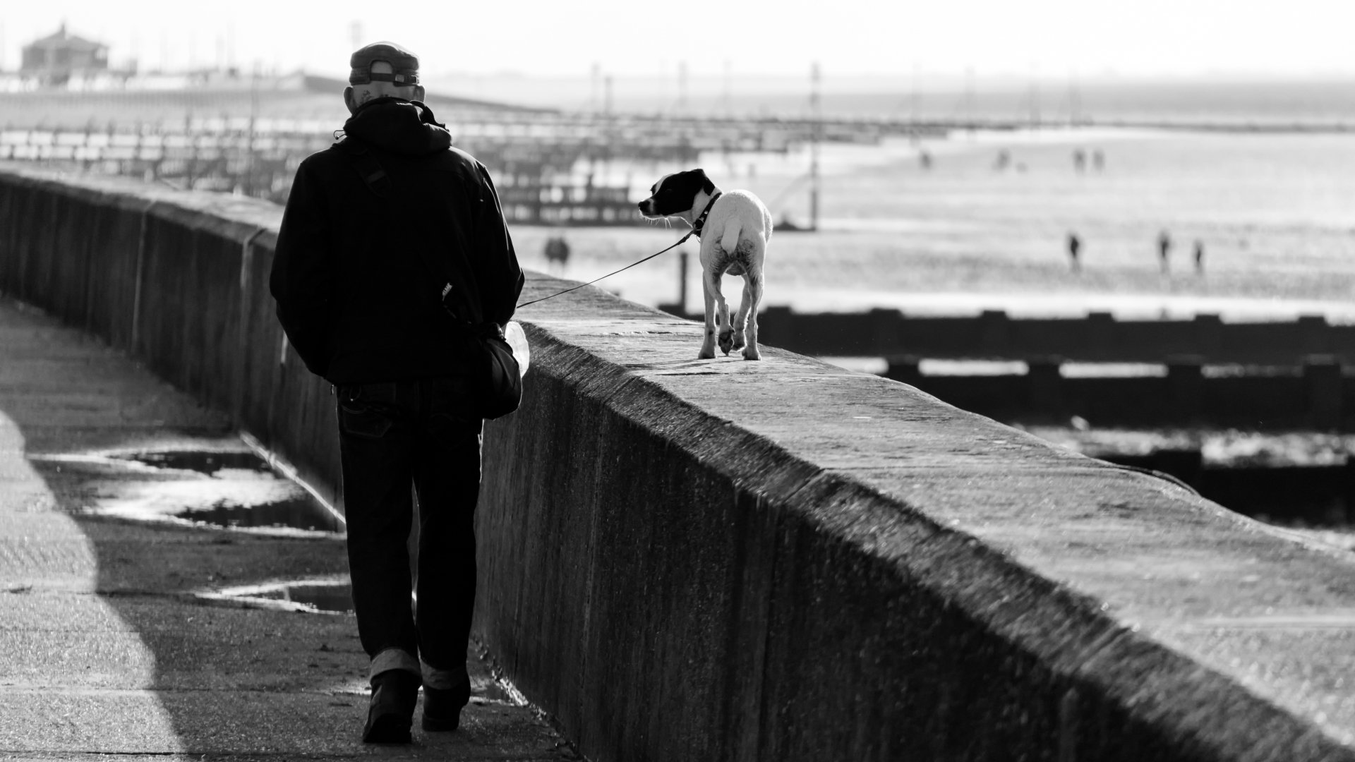 Download Seaside People Dog Monochrome Photography Black & White 4k Ultra HD Wallpaper by MarkTimberlake