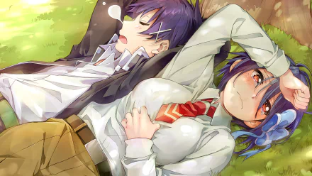 Raku Ichijō and Seishirou Tsugumi relax together in a vibrant outdoor scene from the anime Nisekoi, featuring a picturesque HD wallpaper background.