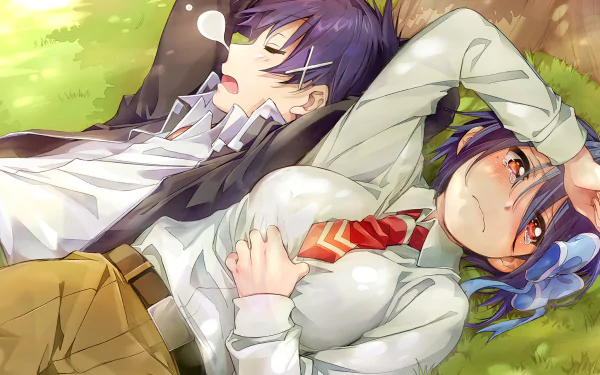 Raku Ichijō and Seishirou Tsugumi relax together in a vibrant outdoor scene from the anime Nisekoi, featuring a picturesque HD wallpaper background.