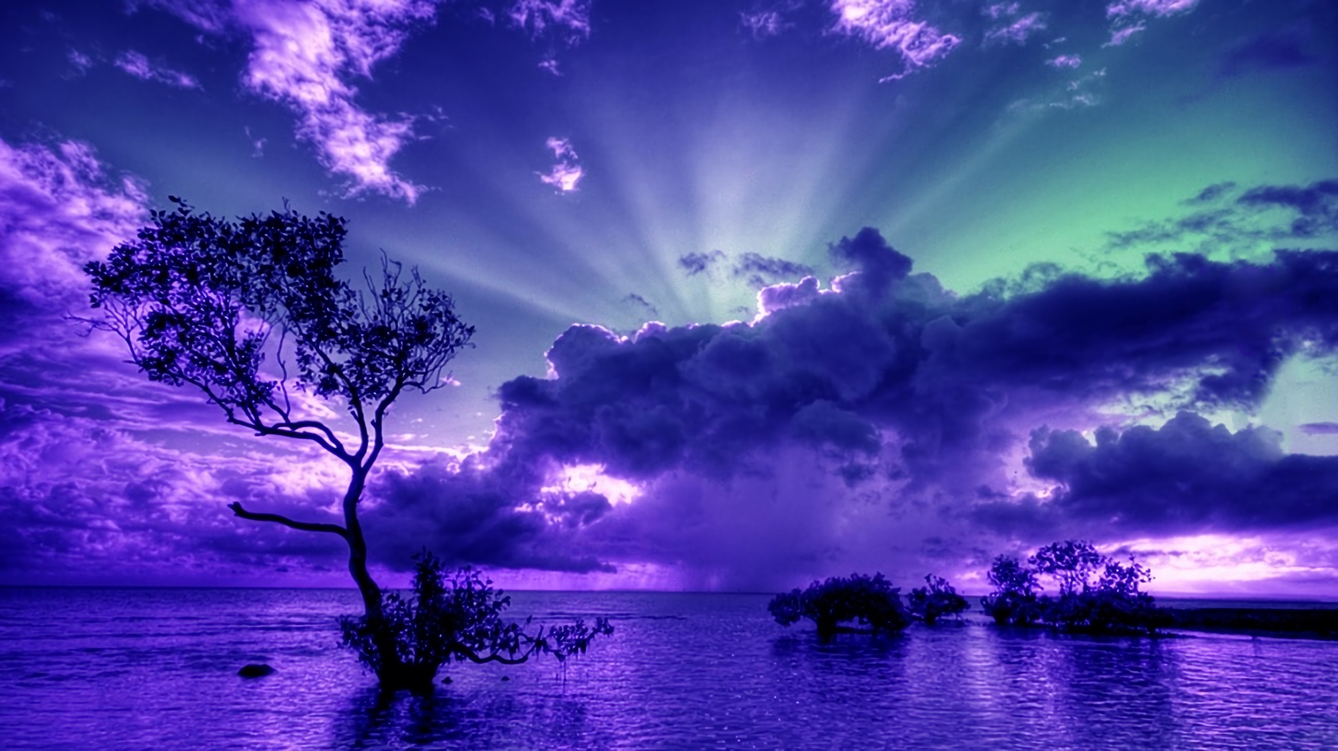 Purple Sunset Wallpaper and Background Image | 1920x1078 | ID:702150