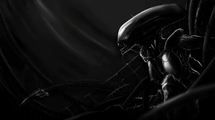 xenomorph movie alien HD Desktop Wallpaper | Background Image