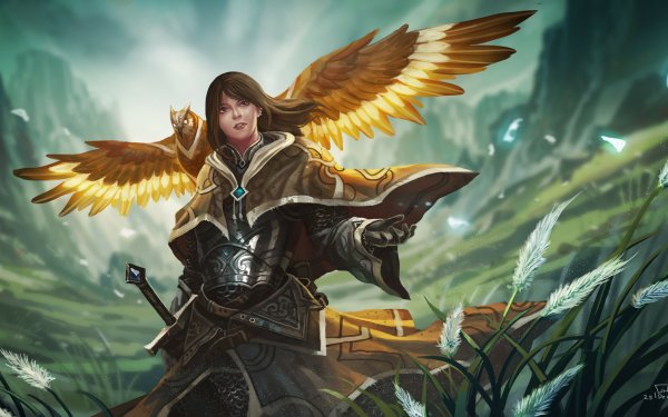 Fantasy Women Warrior Woman Warrior Bird Magic Armor Owl HD Wallpaper | Background Image